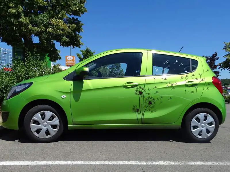 Kunden-Referenzbild - grüner Opel Karl mit dem Set 905 Motiv Auto Sticker Pusteblume in Schwarz auf dem Parkplatz - Foto Susanne Thomas