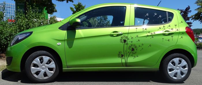 Blumen Skoda Citigo beispielsweise hier am Opel Karl